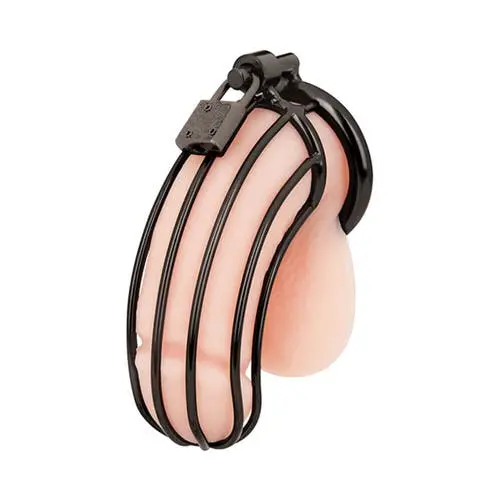 Blue Line - Prisoner Cock Cage Metal Chastity Device Black